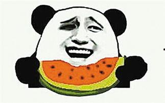 吃瓜群众有什么瓜可以吃,吃瓜群众必看的瓜界盛宴