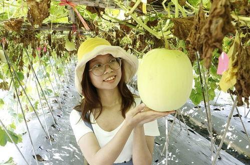 吃瓜菇凉爱吃瓜,揭秘娱乐圈那些鲜为人知的瓜