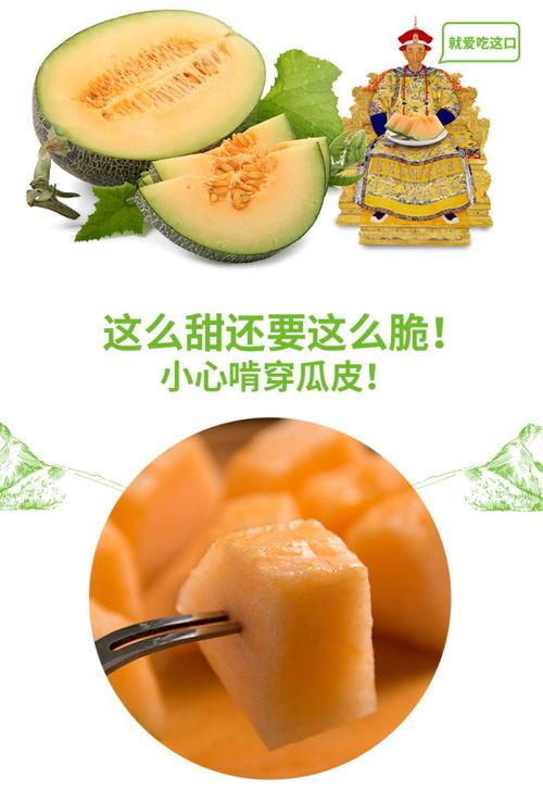 小鸡可以吃蜜瓜吗,探索小鸡能否享用甜蜜果实