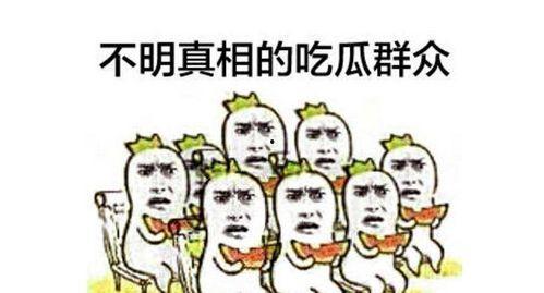 职教吃瓜群众,揭秘职场教育背后的真实面貌