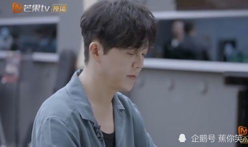 吵架吃瓜bgm,一场吃瓜盛宴的幕后故事