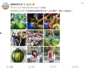 大学吃瓜网站,校园热点事件背后的真相与笑料