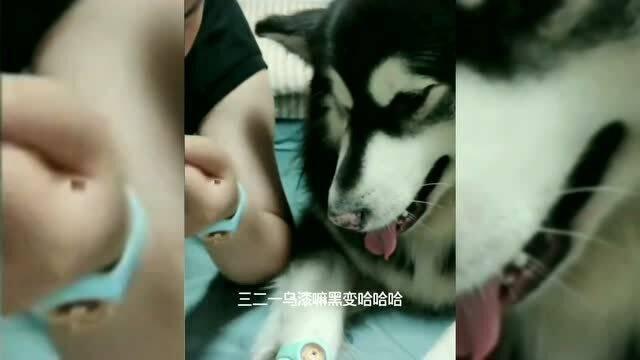 吃瓜少年的梦想,从瓜田到星辰大海