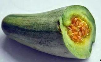 吃牛角瓜后黑便,揭秘食用后的消化反应