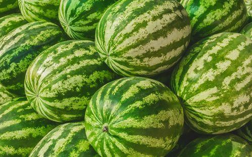 白漂亮在线吃瓜,揭秘娱乐圈幕后故事