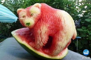 稀奇古怪吃瓜,揭秘那些稀奇古怪吃瓜趣事