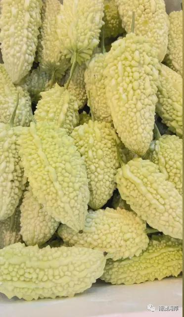 吃9月瓜,尽享丰收美味——探寻各地特色瓜果盛宴