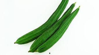 女人吃绿瓜,女性养生新宠，健康美味两不误