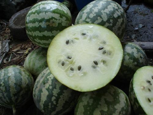 绿玲珑瓜怎么吃,绿玲珑瓜的多样食法探索