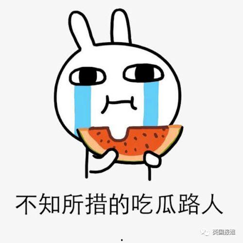 野心吃瓜,揭秘娱乐圈背后的权力游戏与八卦风云