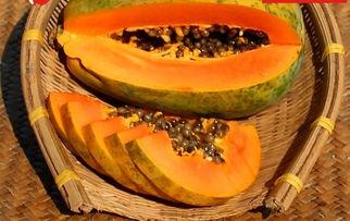 免费吃瓜入口直达,揭秘娱乐圈幕后真相