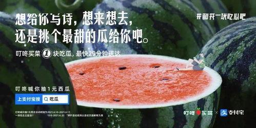 吃瓜不吃饼文案,网络热梗背后的趣味与思考